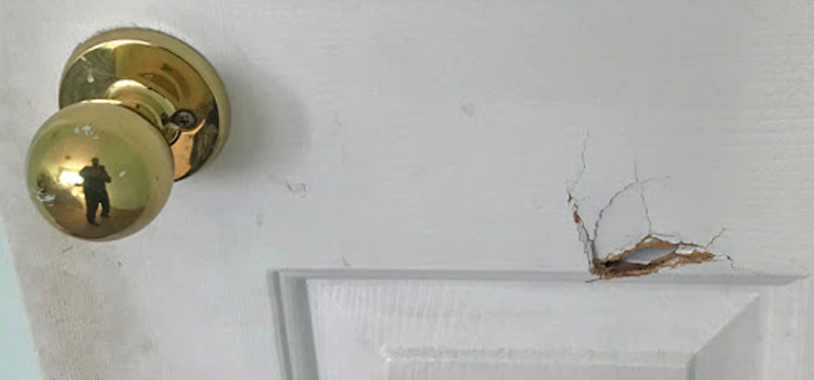 interior door hole repair Larkfield-Wikiup