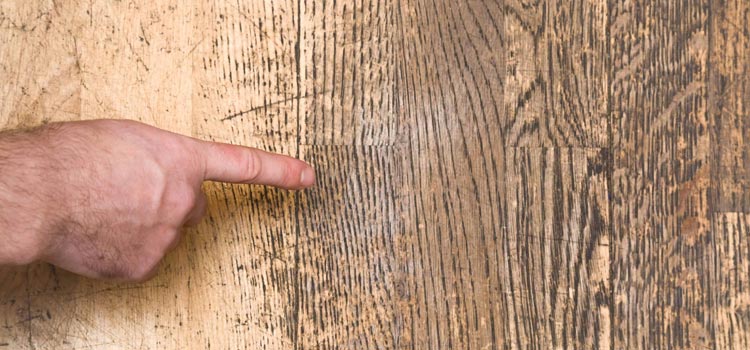 Wood Door Scratch Repair in Larkfield-Wikiup